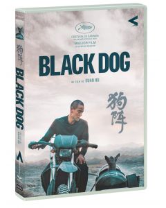 BLACK DOG - DVD