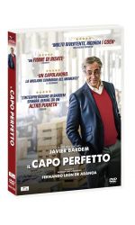 IL CAPO PERFETTO - DVD