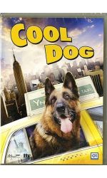 COOL DOG - DVD
