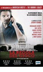 LA REGOLA DEL GIOCO - DVD