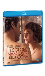 IL COLORE NASCOSTO DELLE COSE - BLU-RAY